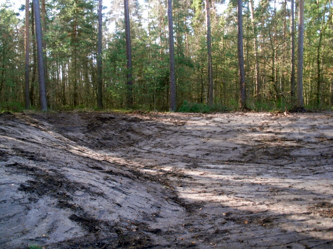 Tiefbau - Entwicklung von Konzepten für eine naturnahe und wirtschaftliche Regenwassernutzung - Unsere Leistungsbereiche: Planung, Ausschreibung, Mitwirkung bei der Vergabe, Objektüberwachung - Bauüberwachung und Dokumentation