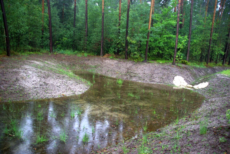 Tiefbau - Entwicklung von Konzepten für eine naturnahe und wirtschaftliche Regenwassernutzung - Unsere Leistungsbereiche: Planung, Ausschreibung, Mitwirkung bei der Vergabe, Objektüberwachung - Bauüberwachung und Dokumentation